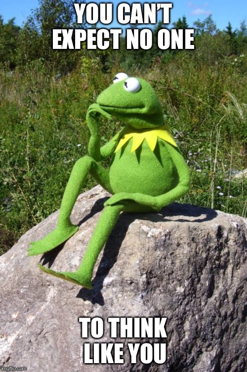 Kermit-thinking | YOU CAN’T EXPECT NO ONE; TO THINK LIKE YOU | image tagged in kermit-thinking | made w/ Imgflip meme maker