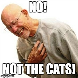 Right In The Childhood Meme | NO! NOT THE CATS! | image tagged in memes,right in the childhood | made w/ Imgflip meme maker