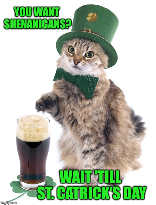 YOU WANT SHENANIGANS? WAIT 'TILL ST. CATRICK'S DAY | made w/ Imgflip meme maker