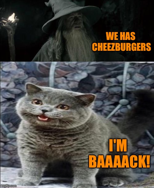 WE HAS CHEEZBURGERS I'M BAAAACK! | made w/ Imgflip meme maker