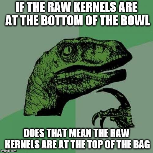 Philosoraptor | IF THE RAW KERNELS ARE AT THE BOTTOM OF THE BOWL; DOES THAT MEAN THE RAW KERNELS ARE AT THE TOP OF THE BAG | image tagged in memes,philosoraptor | made w/ Imgflip meme maker