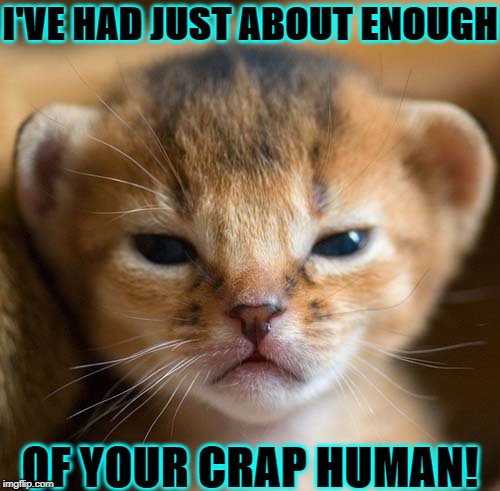 I'VE HAD JUST ABOUT ENOUGH; OF YOUR CRAP HUMAN! | image tagged in enough | made w/ Imgflip meme maker