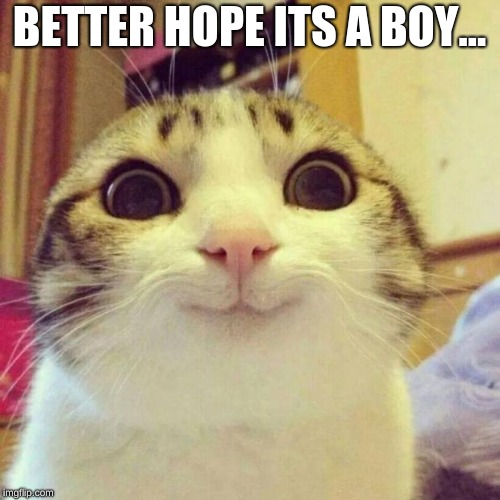 Smiling Cat Meme | BETTER HOPE ITS A BOY... | image tagged in memes,smiling cat | made w/ Imgflip meme maker