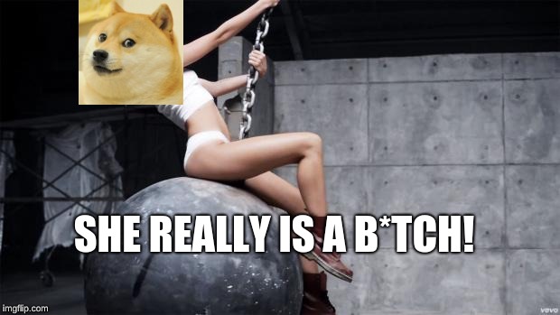 miley cyrus wreckingball | SHE REALLY IS A B*TCH! | image tagged in miley cyrus wreckingball | made w/ Imgflip meme maker