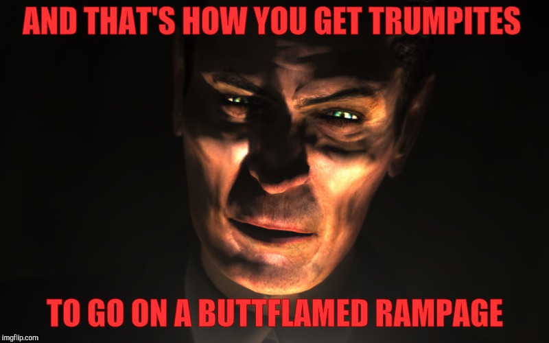 . | AND THAT'S HOW YOU GET TRUMPITES TO GO ON A BUTTFLAMED RAMPAGE | image tagged in g-man from half-life | made w/ Imgflip meme maker