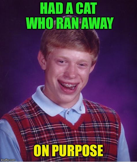 Bad Luck Brian Meme | HAD A CAT WHO RAN AWAY ON PURPOSE | image tagged in memes,bad luck brian | made w/ Imgflip meme maker