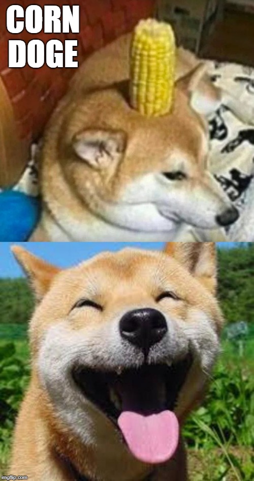 Corn Doge | CORN DOGE | image tagged in happy doge,doge,corn dog,corn dogs,memes | made w/ Imgflip meme maker
