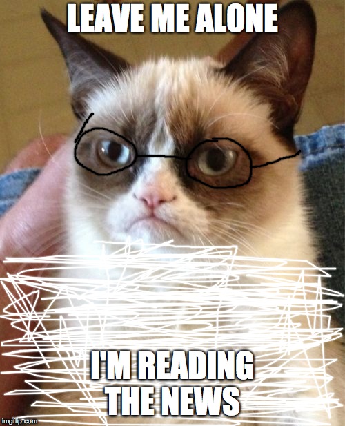 Grumpy Cat | LEAVE ME ALONE; I'M READING THE NEWS | image tagged in memes,grumpy cat | made w/ Imgflip meme maker