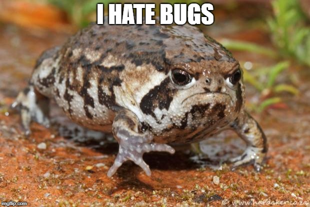 Grumpy Toad Meme | I HATE BUGS | image tagged in memes,grumpy toad | made w/ Imgflip meme maker