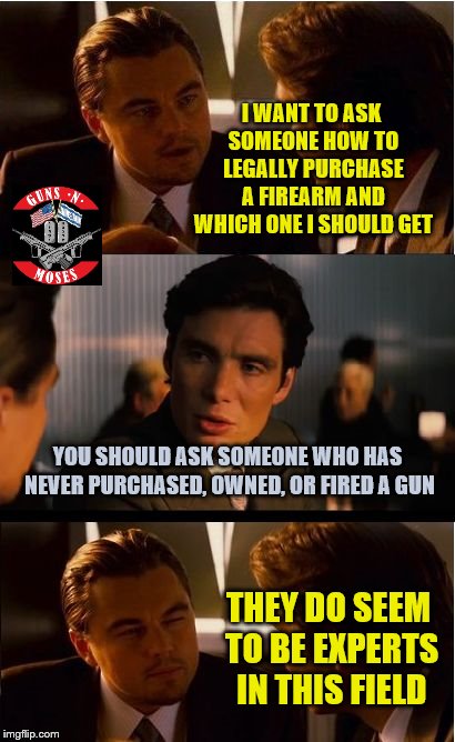Love hearing opinions of know-nothings, especially when they are demanding laws that are already on the books. | I WANT TO ASK SOMEONE HOW TO LEGALLY PURCHASE A FIREARM AND WHICH ONE I SHOULD GET; YOU SHOULD ASK SOMEONE WHO HAS NEVER PURCHASED, OWNED, OR FIRED A GUN; THEY DO SEEM TO BE EXPERTS IN THIS FIELD | image tagged in second amendment,gun experts,firearms,laws,purchasing,loopholes | made w/ Imgflip meme maker