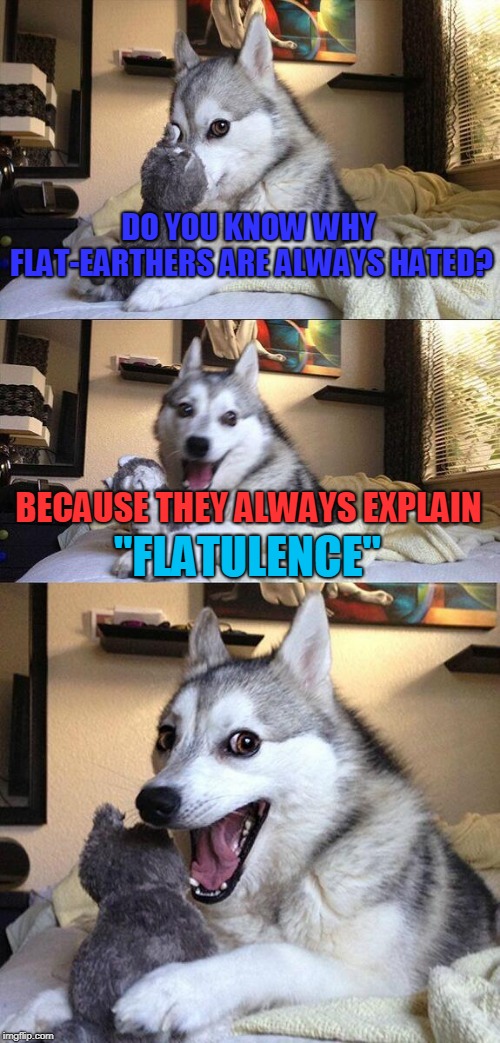 Flatulence explainers | DO YOU KNOW WHY FLAT-EARTHERS ARE ALWAYS HATED? BECAUSE THEY ALWAYS EXPLAIN; "FLATULENCE" | image tagged in memes,bad pun dog,flat earthers,flatulence | made w/ Imgflip meme maker