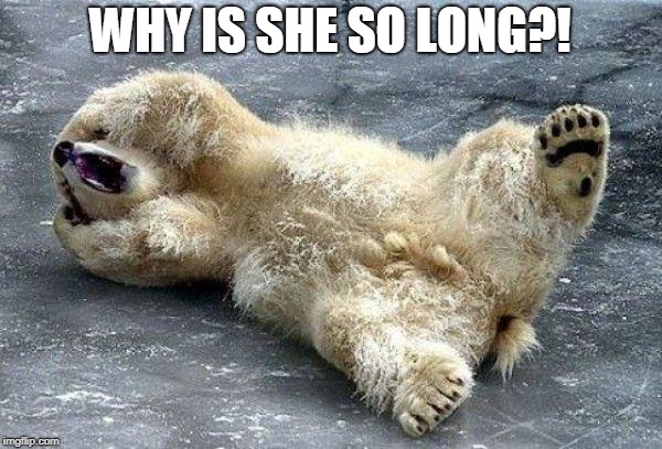 Oh nooo polar bear | WHY IS SHE SO LONG?! | image tagged in oh nooo polar bear | made w/ Imgflip meme maker