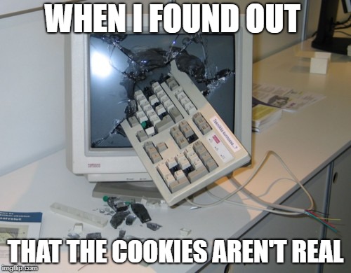 Technology is a Lie | WHEN I FOUND OUT; THAT THE COOKIES AREN'T REAL | image tagged in broken computer,memes,funny,cookies | made w/ Imgflip meme maker