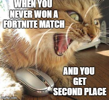 angry cat | WHEN YOU NEVER WON A FORTNITE MATCH; AND YOU GET SECOND PLACE | image tagged in angry cat | made w/ Imgflip meme maker