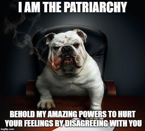 Behold..the patriarchy! | I AM THE PATRIARCHY; BEHOLD MY AMAZING POWERS TO HURT YOUR FEELINGS BY DISAGREEING WITH YOU | image tagged in memes,political meme,animals | made w/ Imgflip meme maker