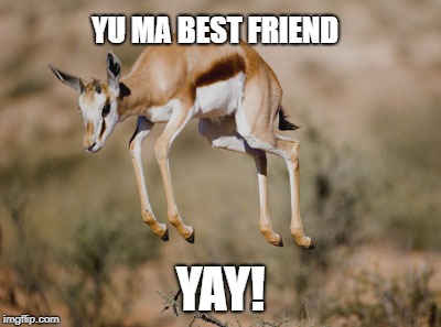 Yumabestfriend YAY | YU MA BEST FRIEND; YAY! | image tagged in yu,ma,best,friend,yay | made w/ Imgflip meme maker