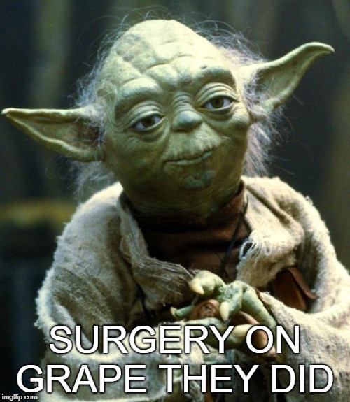 Star Wars Yoda | SURGERY ON GRAPE THEY DID | image tagged in memes,star wars yoda | made w/ Imgflip meme maker