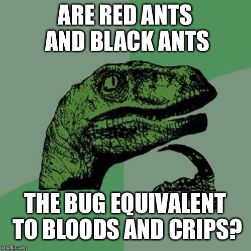 Philosoraptor Meme | ARE RED ANTS AND BLACK ANTS; THE BUG EQUIVALENT TO BLOODS AND CRIPS? | image tagged in memes,philosoraptor,blood,crip,ants,gangsta | made w/ Imgflip meme maker
