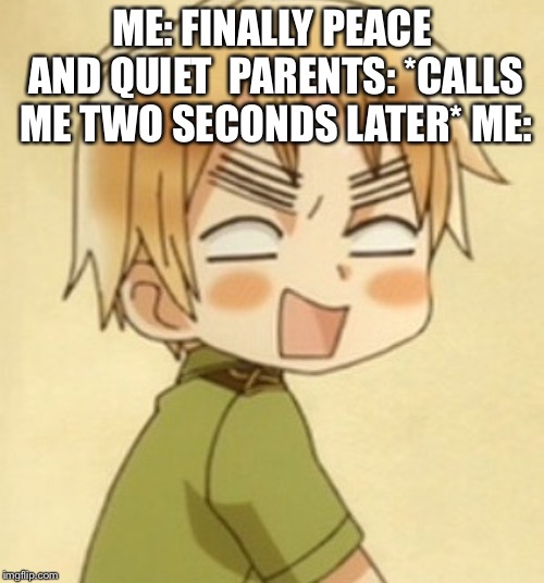 ME: FINALLY PEACE AND QUIET

PARENTS: *CALLS ME TWO SECONDS LATER*
ME: | image tagged in dying aph england | made w/ Imgflip meme maker