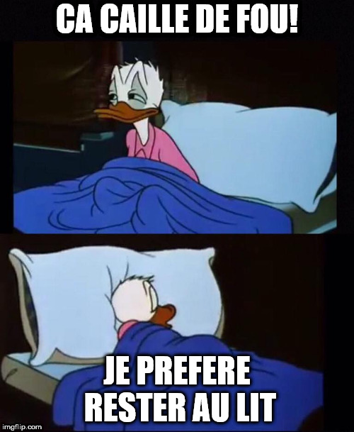 donald duck sleepless | CA CAILLE DE FOU! JE PREFERE RESTER AU LIT | image tagged in donald duck sleepless | made w/ Imgflip meme maker
