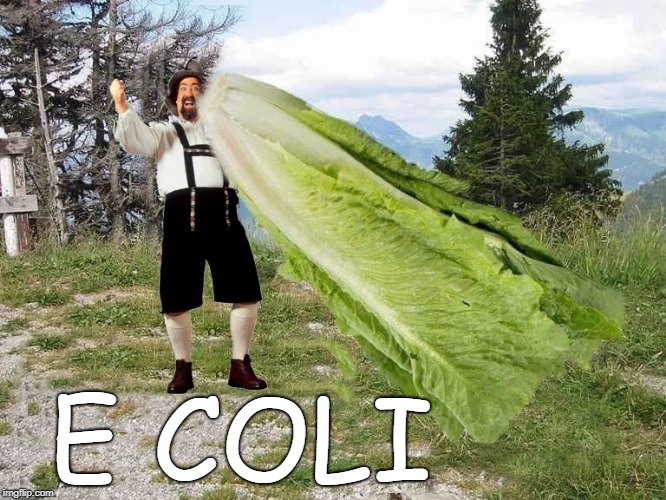 lettuce be safe | E COLI | image tagged in e coli,bavarian,ricola | made w/ Imgflip meme maker