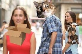 Who else thinks that cats are so cheap | image tagged in cats,cheap,box,gimme gimme,funny | made w/ Imgflip meme maker