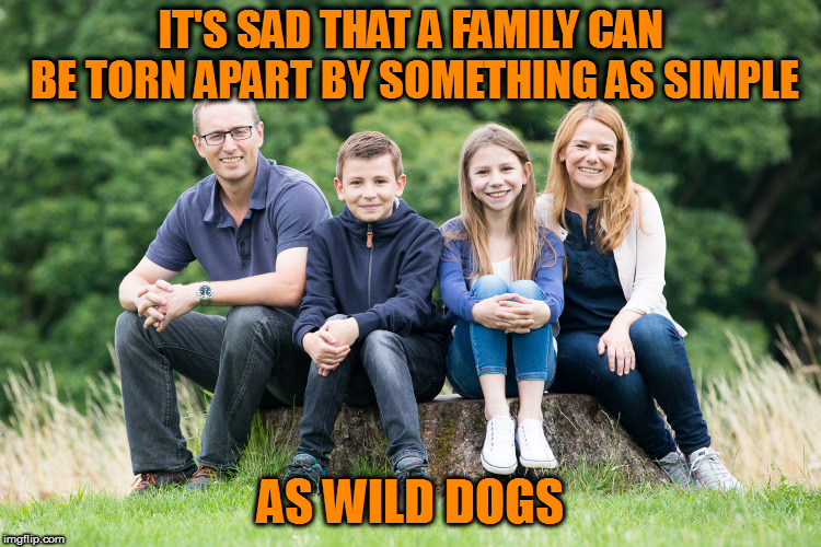 I'm not sure therapy would help | IT'S SAD THAT A FAMILY CAN BE TORN APART BY SOMETHING AS SIMPLE; AS WILD DOGS | image tagged in memes,family,wild dogs | made w/ Imgflip meme maker