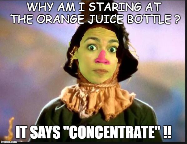 If she only had a brain.... | WHY AM I STARING AT THE ORANGE JUICE BOTTLE ? IT SAYS "CONCENTRATE" !! | image tagged in cortez | made w/ Imgflip meme maker