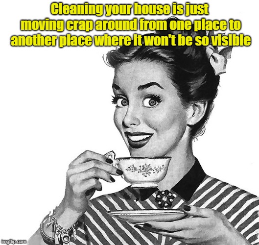 Let's Clean House! | Cleaning your house is just moving crap around from one place to another place where it won't be so visible | image tagged in retro woman teacup,house cleaning,memes | made w/ Imgflip meme maker