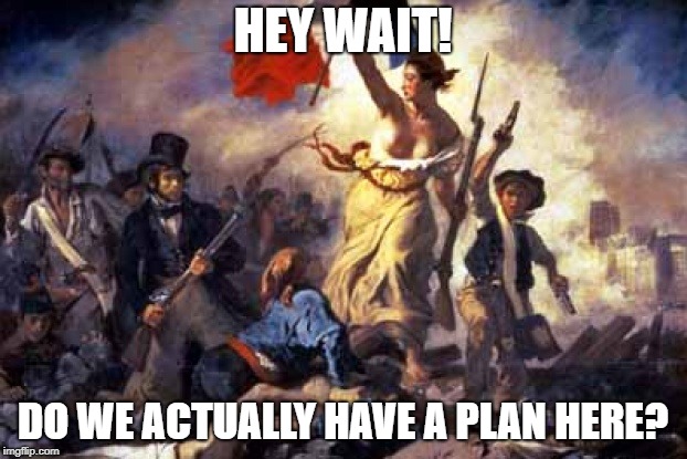 French Revolution | HEY WAIT! DO WE ACTUALLY HAVE A PLAN HERE? | image tagged in french revolution | made w/ Imgflip meme maker