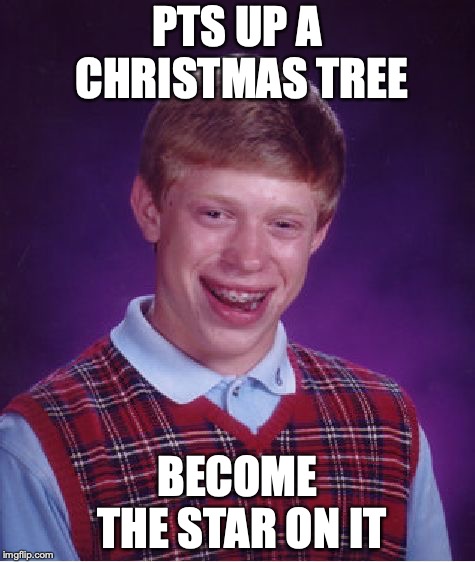 Bad Luck Brian Meme | PTS UP A CHRISTMAS TREE; BECOME THE STAR ON IT | image tagged in memes,bad luck brian | made w/ Imgflip meme maker