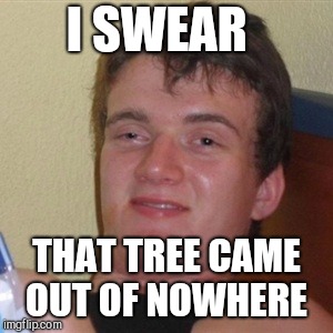 High/Drunk guy | I SWEAR THAT TREE CAME OUT OF NOWHERE | image tagged in high/drunk guy | made w/ Imgflip meme maker