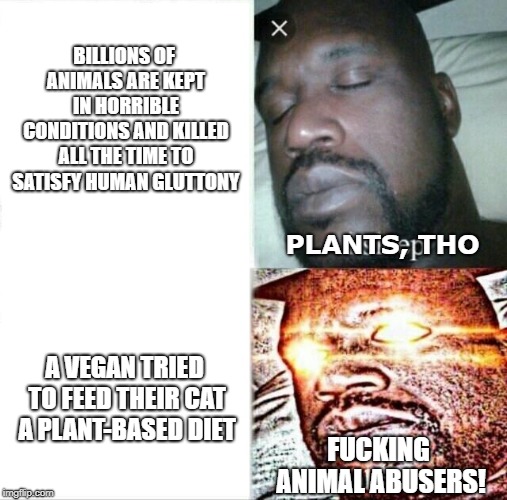 Sleeping Shaq Meme | BILLIONS OF ANIMALS ARE KEPT IN HORRIBLE CONDITIONS AND KILLED ALL THE TIME TO SATISFY HUMAN GLUTTONY; PLANTS, THO; A VEGAN TRIED TO FEED THEIR CAT A PLANT-BASED DIET; FUCKING ANIMAL ABUSERS! | image tagged in memes,sleeping shaq | made w/ Imgflip meme maker