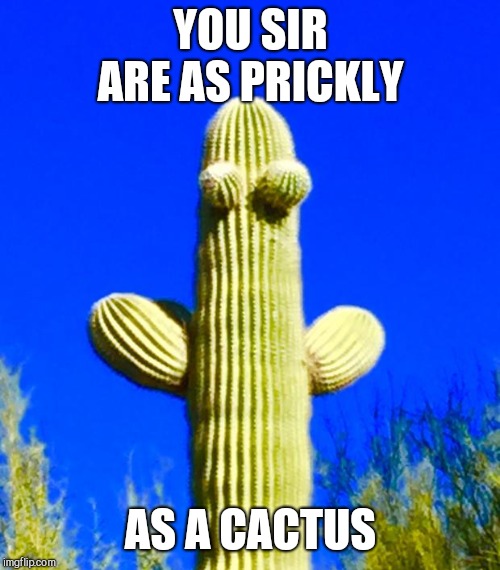 Huggy Cactus  | YOU SIR ARE AS PRICKLY AS A CACTUS | image tagged in huggy cactus | made w/ Imgflip meme maker