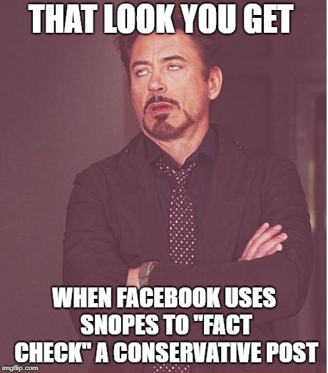 Face You Make Robert Downey Jr Meme | THAT LOOK YOU GET; WHEN FACEBOOK USES SNOPES TO "FACT CHECK" A CONSERVATIVE POST | image tagged in memes,face you make robert downey jr | made w/ Imgflip meme maker