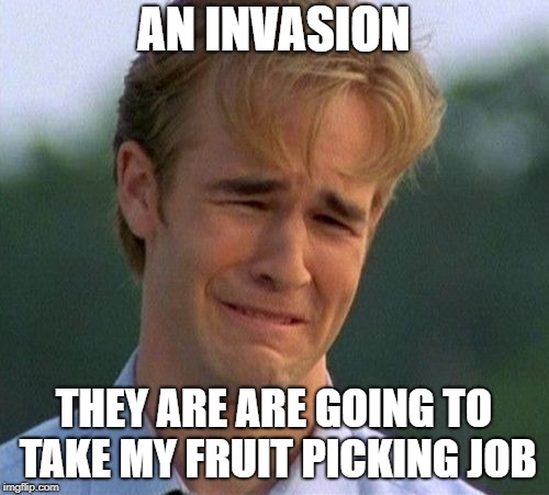 1990s First World Problems Meme | AN INVASION THEY ARE ARE GOING TO TAKE MY FRUIT PICKING JOB | image tagged in memes,1990s first world problems | made w/ Imgflip meme maker