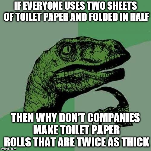 Give People What they want | IF EVERYONE USES TWO SHEETS OF TOILET PAPER AND FOLDED IN HALF; THEN WHY DON'T COMPANIES MAKE TOILET PAPER ROLLS THAT ARE TWICE AS THICK | image tagged in memes,philosoraptor,toilet paper | made w/ Imgflip meme maker