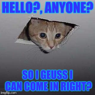 Ceiling Cat | HELLO?, ANYONE? SO I GEUSS I CAN COME IN RIGHT? | image tagged in memes,ceiling cat | made w/ Imgflip meme maker