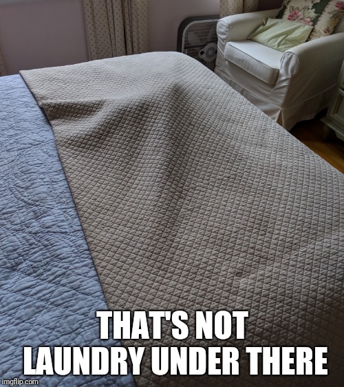 THAT'S NOT LAUNDRY UNDER THERE | made w/ Imgflip meme maker