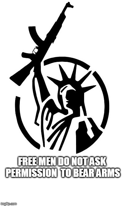 'Murica | FREE MEN DO NOT ASK PERMISSION  TO BEAR ARMS | image tagged in 2nd amendment,american politics,right to bear arms | made w/ Imgflip meme maker