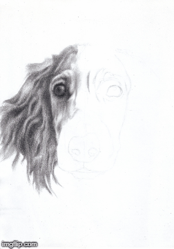 image tagged in gifs | made w/ Imgflip images-to-gif maker