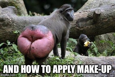 Monkey Ass | AND HOW TO APPLY MAKE-UP | image tagged in monkey ass | made w/ Imgflip meme maker