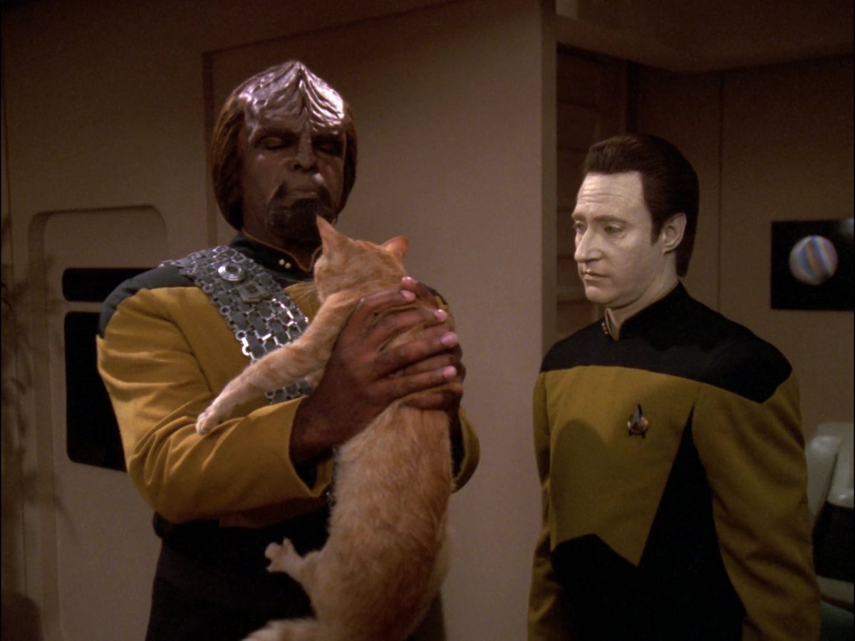 data worf spot Blank Meme Template