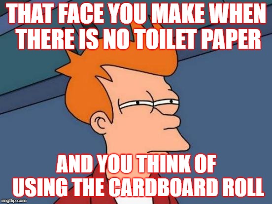 Futurama Fry Meme | THAT FACE YOU MAKE WHEN THERE IS NO TOILET PAPER; AND YOU THINK OF USING THE CARDBOARD ROLL | image tagged in memes,futurama fry | made w/ Imgflip meme maker