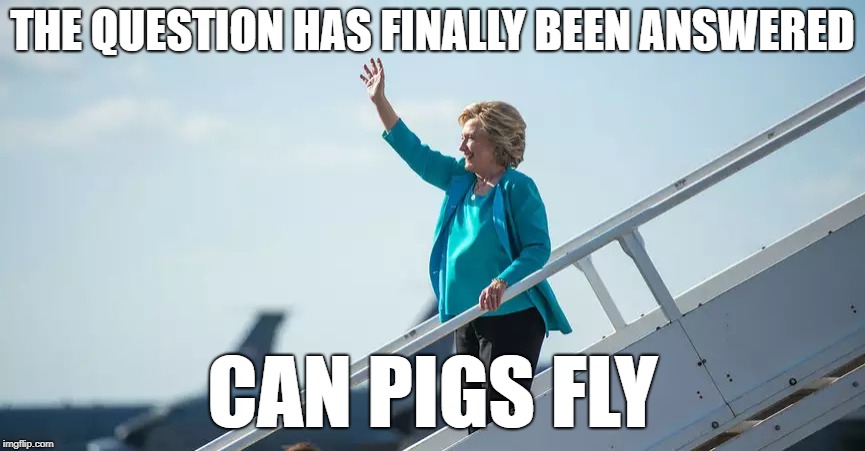 The Question Has Finally Been Answered | THE QUESTION HAS FINALLY BEEN ANSWERED; CAN PIGS FLY | image tagged in hillary,clinton,democrats,pig | made w/ Imgflip meme maker