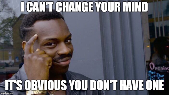 Roll Safe Think About It Meme | I CAN'T CHANGE YOUR MIND IT'S OBVIOUS YOU DON'T HAVE ONE | image tagged in memes,roll safe think about it | made w/ Imgflip meme maker