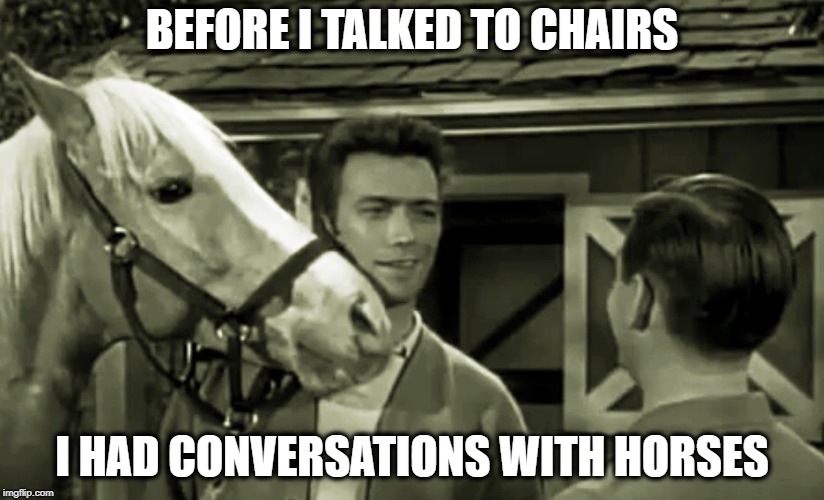 Mr. Ed Eastwood | BEFORE I TALKED TO CHAIRS; I HAD CONVERSATIONS WITH HORSES | image tagged in memes,funny memes,clint eastwood,crazy | made w/ Imgflip meme maker