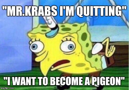Mocking Spongebob | "MR.KRABS I'M QUITTING"; "I WANT TO BECOME A PIGEON" | image tagged in memes,mocking spongebob | made w/ Imgflip meme maker