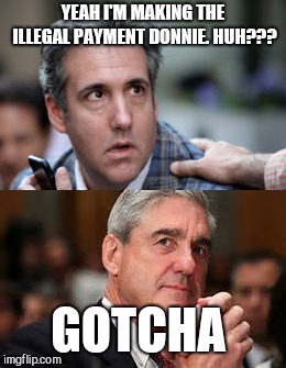 Robert Mueller, an American hero!  | YEAH I'M MAKING THE ILLEGAL PAYMENT DONNIE. HUH??? GOTCHA | image tagged in bob mueller,michael cohen looking stupid,donald trump,gop | made w/ Imgflip meme maker