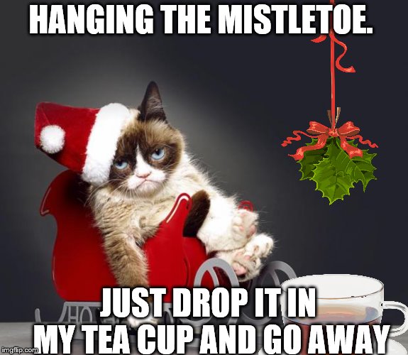 hanging the mistletoe. | HANGING THE MISTLETOE. JUST DROP IT IN MY TEA CUP AND GO AWAY | image tagged in grumpy cat christmas hd,grumpy cat mistletoe,mistletoe,christmas memes,christmas,funny memes | made w/ Imgflip meme maker